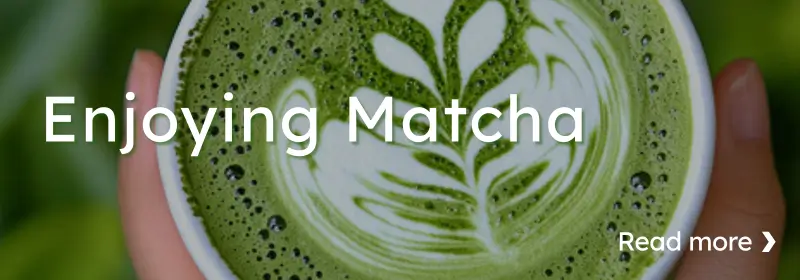 Enjoying Matcha