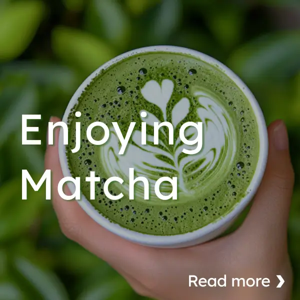 Enjoying Matcha