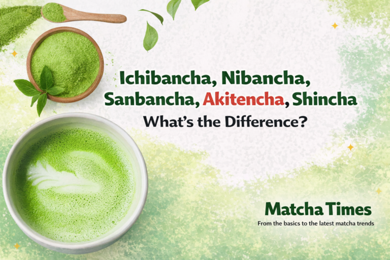Japanese Tea Harvest Seasons Explained: First Flush, Second Flush, Third Flush, Autumn Tencha, and Shincha