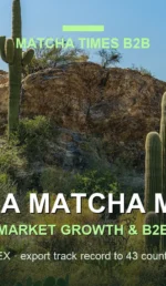 Arizona Matcha Market 2026: Café Growth, Consumer Trends & B2B Opportunities