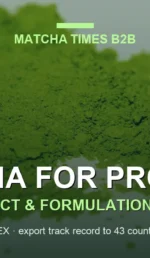 Best Matcha for Lattes: Grade, Origin, Color & Flavor Tests