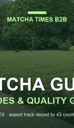 japanese matcha tea plantation
