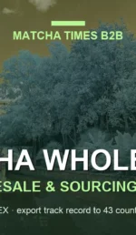 Colorado Matcha Wholesale: Japanese Supplier, MOQ, Price & Delivery Guide