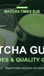 First-Harvest vs Second-Harvest Matcha for Commercial Use
