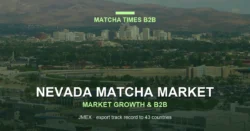 Nevada Matcha Market 2026: Cafe Growth, Consumer Trends & B2B Opportunities