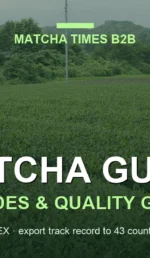 japanese matcha tea plantation