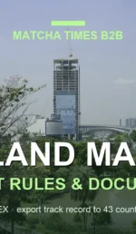 How to Import Matcha from Japan to Thailand: Compliance, Documents & Shipping