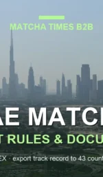 How to Import Matcha from Japan to UAE: Compliance, Documents & Shipping