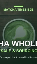 Japanese Matcha for UAE Importers & Distributors: Wholesale Supply Guide