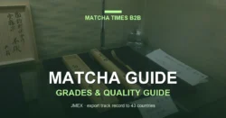 Japanese Matcha vs Chinese Matcha: Origin, Production, Price & Buyer Risk