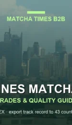 Manila Matcha Cafe Trends: Menu Pricing, Flavors & B2B Opportunities
