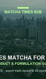 Matcha Cafe Profit Margin in the Philippines: COGS, Pricing & Supplier Economics