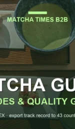 Matcha Color Quality Guide: L*a*b* Values, Grades & Buyer Standards