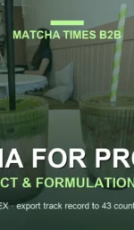 Matcha Latte Cost per Cup: Café COGS & Gross Margin Calculator 2026