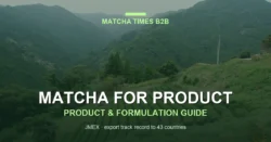 Best Matcha for Baking: Heat Stability, Color Retention & Cost Guide