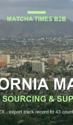 Best Wholesale Matcha for Cafés in California: Grade, Cost per Cup & Supply