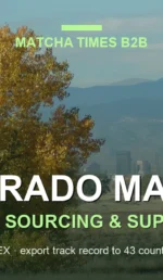Best Wholesale Matcha for Cafés in Colorado: Grade, Cost per Cup & Supply
