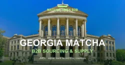 Best Wholesale Matcha for Cafés in Georgia: Grade, Cost per Cup & Supply
