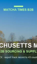 Best Wholesale Matcha for Cafés in Massachusetts: Grade, Cost per Cup & Supply