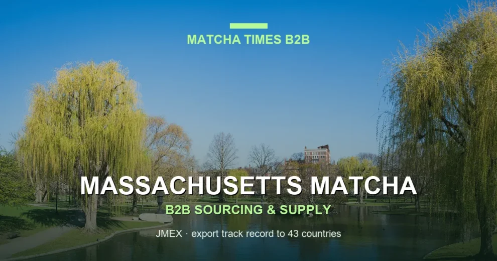 Best Wholesale Matcha for Cafés in Massachusetts: Grade, Cost per Cup & Supply