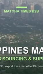 Best Wholesale Matcha for Cafes in Philippines: Grade, Cost per Cup & Supply