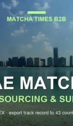 Best Wholesale Matcha for Cafés in UAE: Grade, Cost per Cup & Supply
