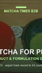 Matcha for Cafés in the USA: Grade, Dosing, Cost per Cup & Sourcing (2026)