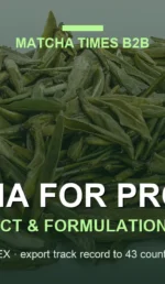 Matcha for RTD Beverages: Solubility, Sedimentation, Color Stability & Processing