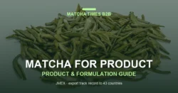 Matcha for RTD Beverages: Solubility, Sedimentation, Color Stability & Processing