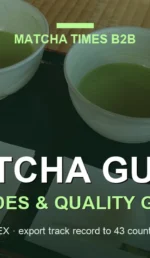 Matcha Heat Stability Test: 80°C, 100°C, 150°C and 180°C Compared