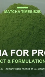 Matcha Latte Cost in Dubai: Café COGS, Menu Price & Gross Margin Guide