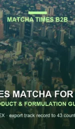 Matcha Latte Cost in the Philippines: Ingredient Cost & Pricing Guide