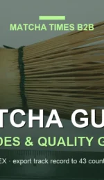 Which Matcha Performs Best in Milk? Blind Latte Test Across Origins & Grades