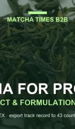 When to Buy Matcha: Harvest Calendar, Milling Capacity & Annual Procurement Planning