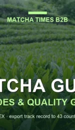 japanese matcha tea plantation