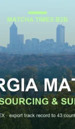 Japanese Matcha Supplier in Georgia: B2B Sourcing Guide for Cafés & Brands