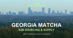 Japanese Matcha Supplier in Georgia: B2B Sourcing Guide for Cafes & Brands