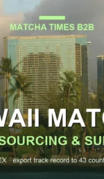 Japanese Matcha Supplier in Hawaii - B2B Sourcing Guide for Cafes and Brands