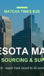 Japanese Matcha Supplier in Minnesota: B2B Sourcing Guide for Cafés & Brands