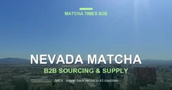 Japanese Matcha Supplier in Nevada: B2B Sourcing Guide for Cafes & Brands