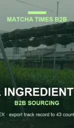 Japanese Matcha Supplier in Oregon: B2B Sourcing Guide for Cafés & Brands