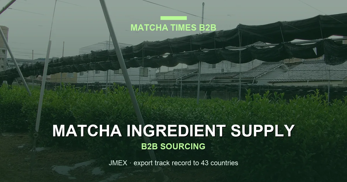 Japanese Matcha Supplier in Oregon: B2B Sourcing Guide for Cafés & Brands