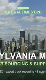 Japanese Matcha Supplier in Pennsylvania: B2B Sourcing Guide for Cafés & Brands