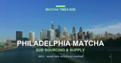 Matcha Supplier Philadelphia: Wholesale Japanese Matcha for Cafés, Hotels & Brands