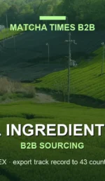 Matcha Supplier Scottsdale: Wholesale Japanese Matcha for Cafés, Hotels & Brands
