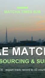 Japanese Matcha Supplier for UAE: B2B Sourcing Guide 2026