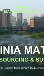 Japanese Matcha Supplier in Virginia: B2B Sourcing Guide for Cafés & Brands