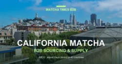 California Matcha Wholesale: Japanese Supplier, MOQ, Price & Delivery Guide