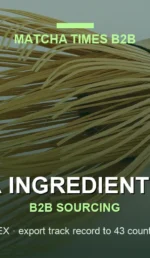 Matcha Wholesale from Japan: Complete B2B Buyer's Guide 2026