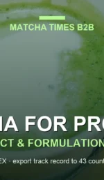 Wholesale Matcha for Cafés: Grade, MOQ, Cost per Cup & Supplier Guide